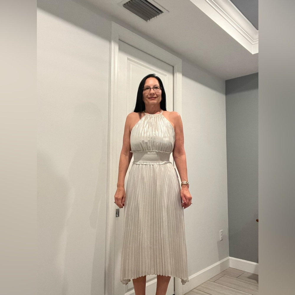 Silver pleaded dress
